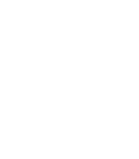 Double arrow icon