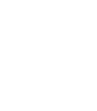Single arrow icon