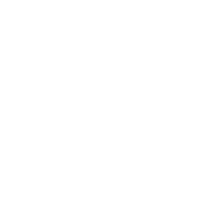 1 icon